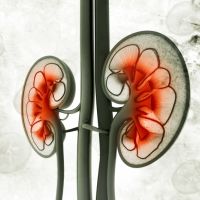 Diplomatura Nutrición Renal