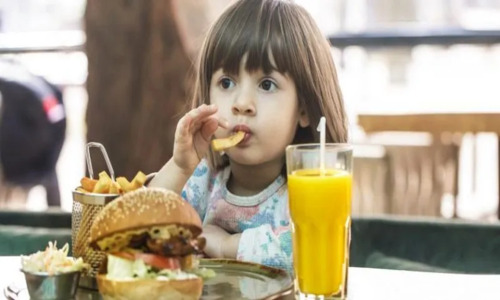 Ingesta de Alimentos Ultraprocesados en Niños