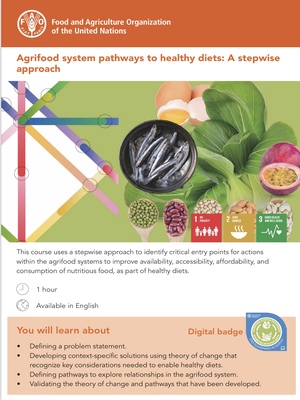 Vías del sistema agroalimentario hacia dietas saludables: Un enfoque paso a paso