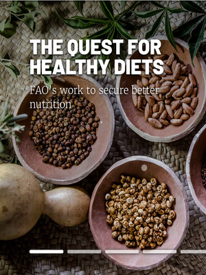 THE QUEST FOR HEALTHY DIETS