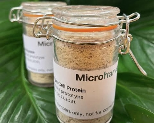 MicroHarvest: Microorganismos como solución al desafío alimentario global